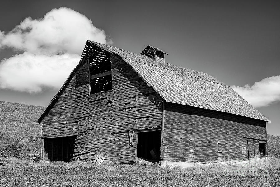 Old Dilapidated Palouse Barn Two 2 Photograph by Bob Phillips - Fine ...