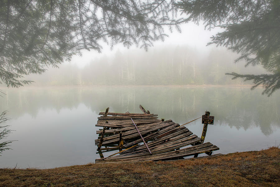 Old dock on lake in morning Photograph by Dan Friend