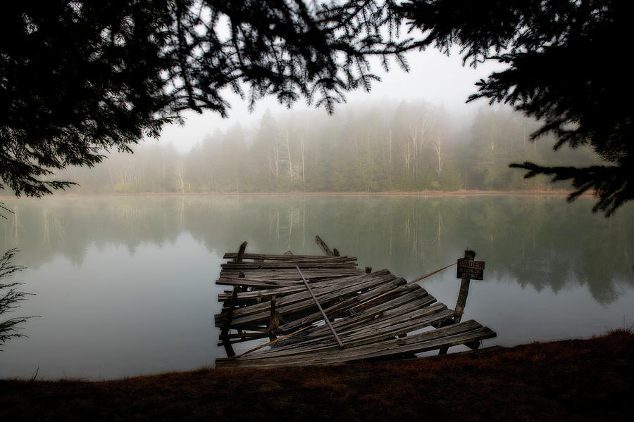 Old dock on lake in the fog Photograph by Dan Friend