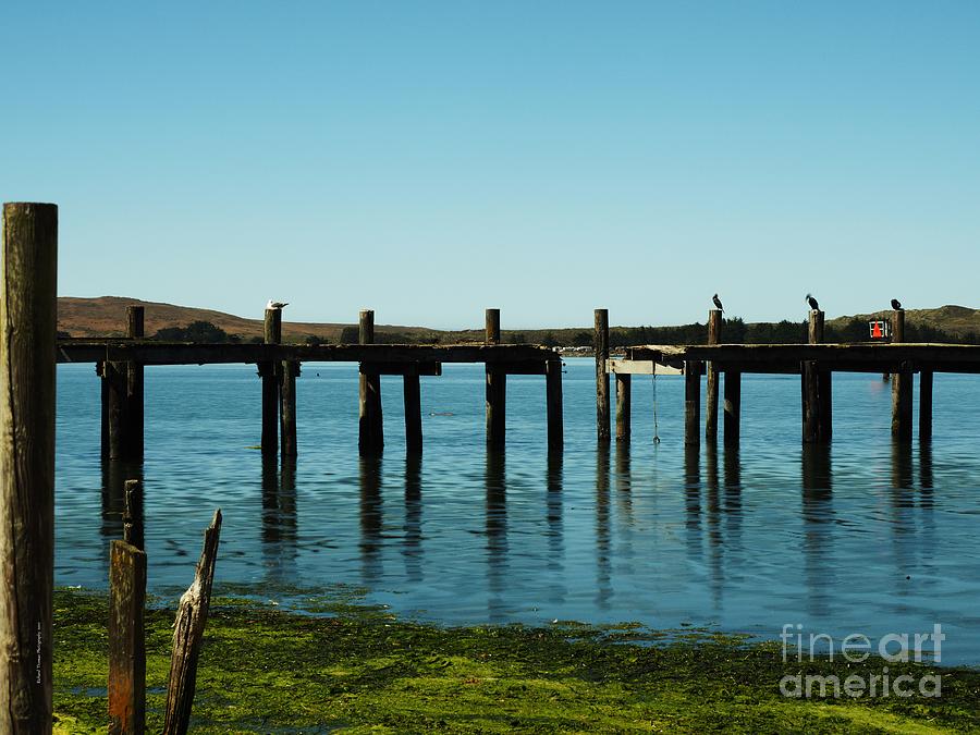 Old Dock Photograph by Richard Thomas