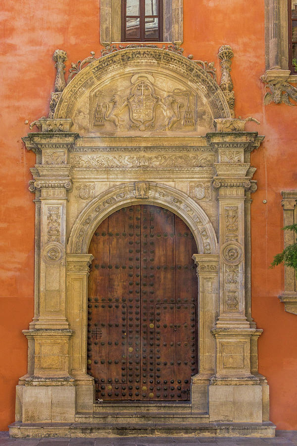 Old Door In Granada Trv0060 Photograph