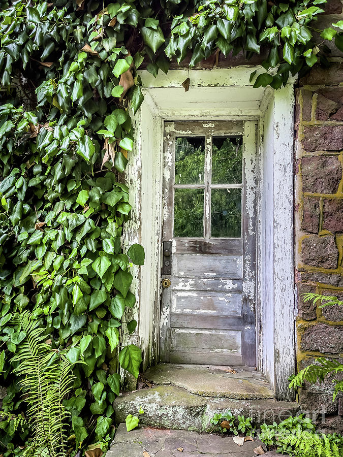 Old Door with Overgrown Ivy Photograph by Eleanor Abramson