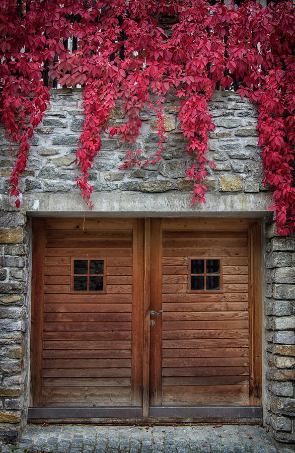 Old Doors. Durnstein, Austria Photograph by Yelena Rozov