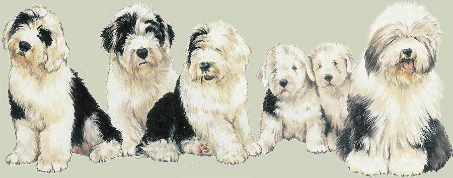 Old English Sheepdog Puppies Mixed Media by Barbara Keith