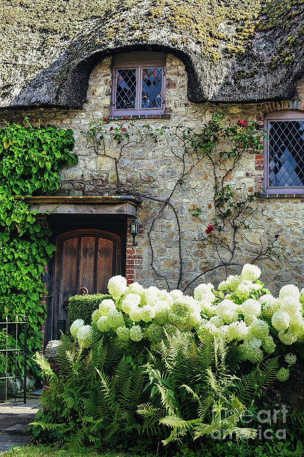 Old English Thatched Cottage Photograph by Abigail Diane Photography