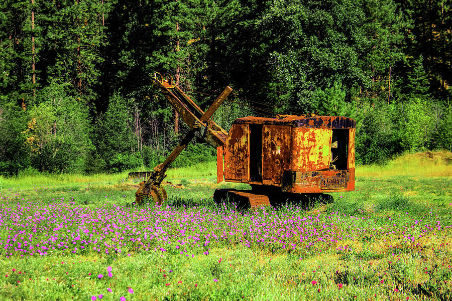 Old Excavator In An Opening With Blue Flowers Photograph
