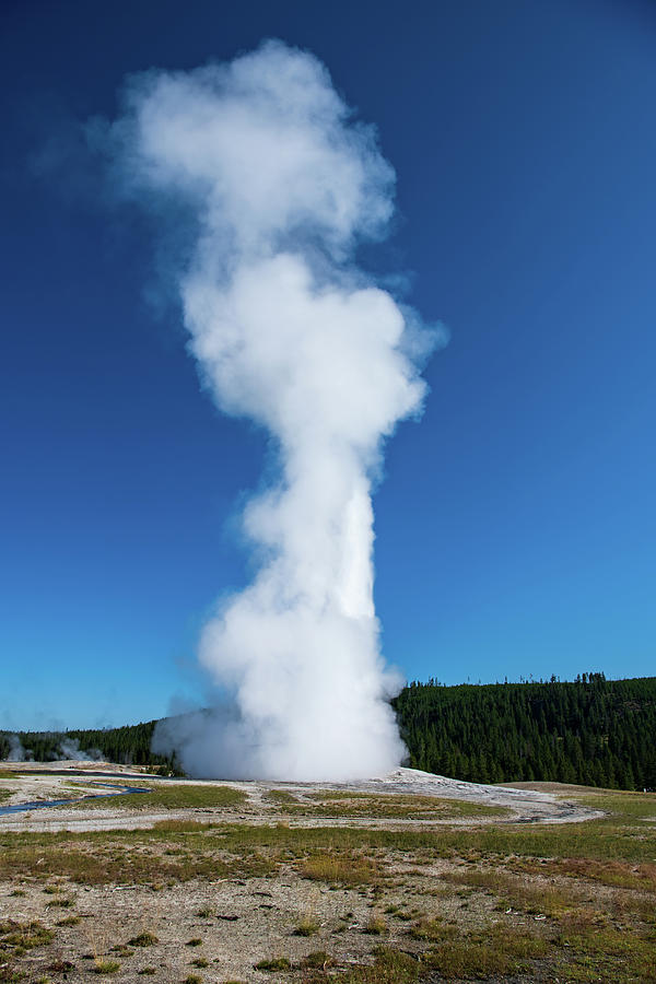 Old Faithful Geyser Photograph by Rose Guinther