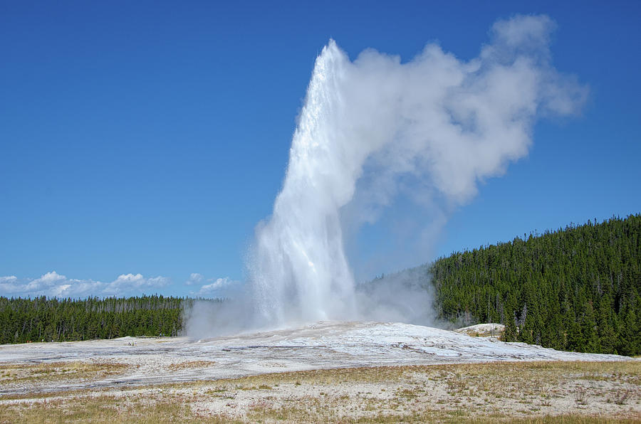 Old Faithful Geyser Yellowstone Wyoming Photograph by Debra Martz ...