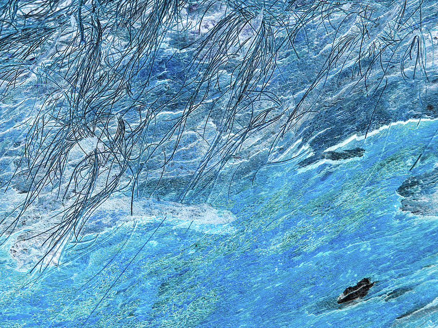 Old Fallen Tree Trunk, Digital Blue Digital Art by David Desautel