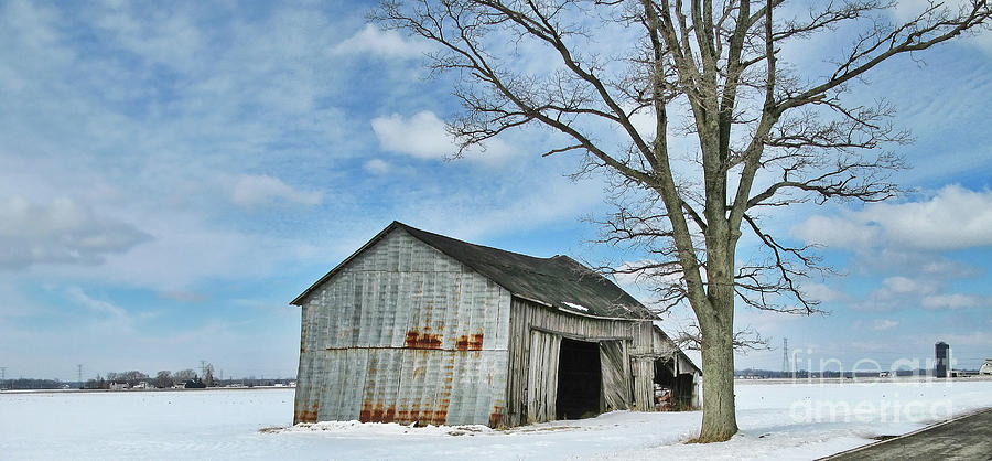 Old Falling Apart Barn 5699  Photograph by Jack Schultz