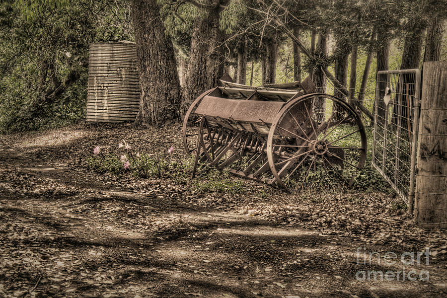 Old Farm Equipment Photograph by Elaine Teague