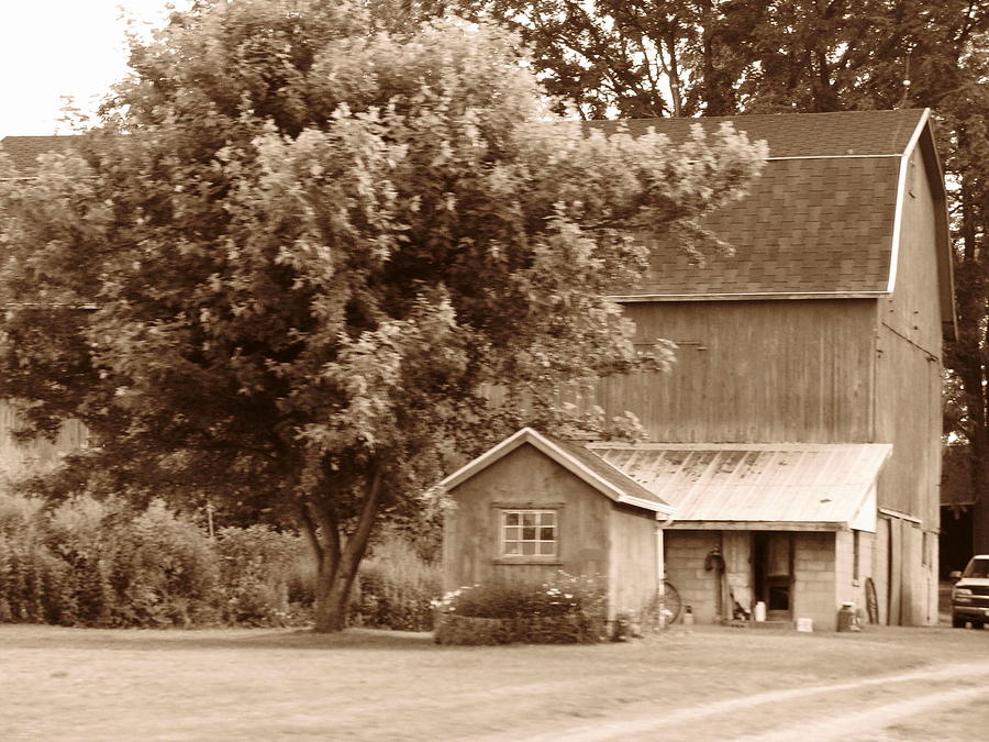 Old - Fashioned Barn Photograph by Rhonda Barrett