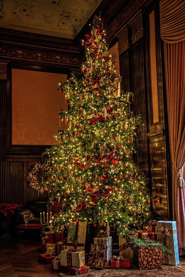 Old Fashioned Christmas Tree Photograph by Kristia Adams