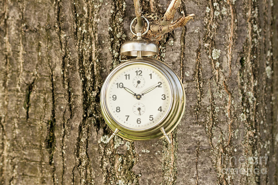 Old fashioned clock hanged on a tree Photograph by Mendelex Photography