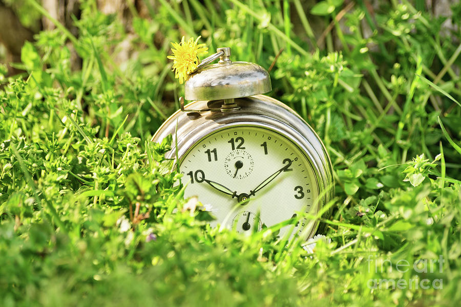 Old fashioned clock on a meadow Photograph by Mendelex Photography