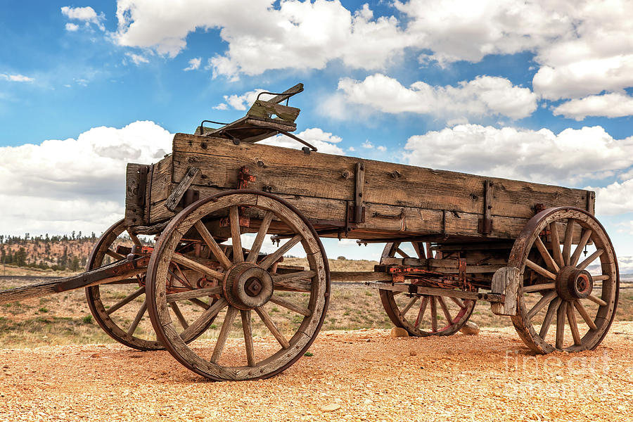 Old fashioned horse-drawn wagon, pioneer style. Vintage Americana buggy as used in the wild west, California Photograph by Jane Rix