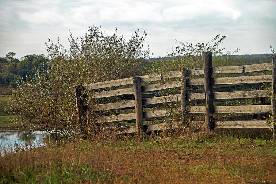 Old Fence in a Field Photograph by Mike Murdock