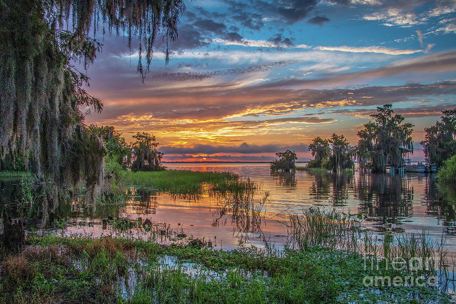 Old Florida Morning Photograph by Tom Claud
