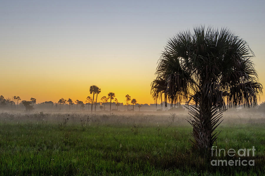 Old Florida Sunrise Photograph by Tom Claud