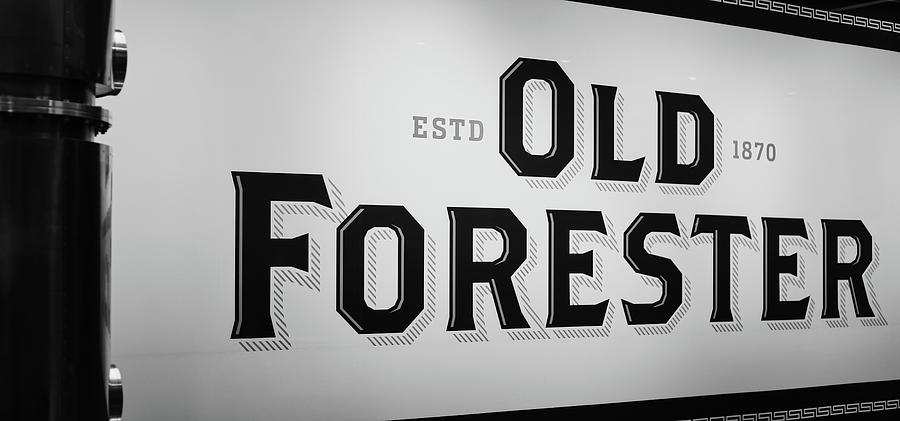 Old Forester Photograph by Scott Burd