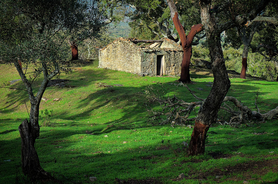 Old forgotten cottage in Monsanto Photograph by Angelo DeVal