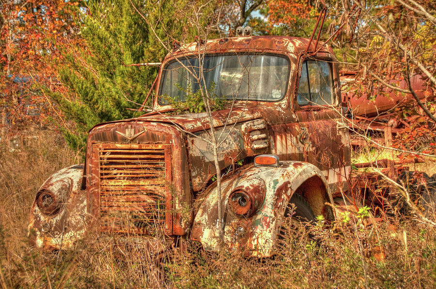 Old Forgotten International Harvester Truck Photograph by Kristia Adams