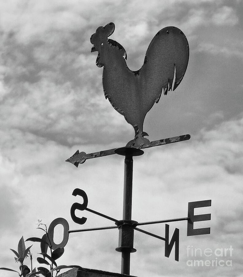 Old French Weather Vane Photograph by Yvonne Johnstone