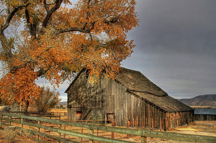 Barn Photograph - Old Friends by Donna Kennedy