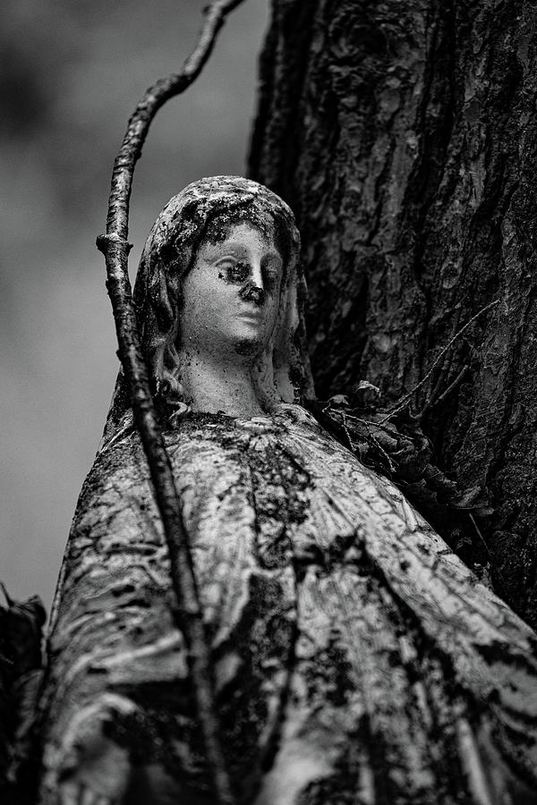 Old Garden Statue in Black and White Photograph by Denise Kopko