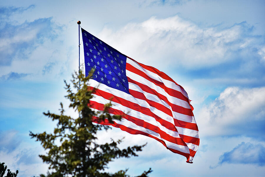 Old Glory Flying High Photograph by Vi Ray Old Glory Flying High Photograph by Vi Ray