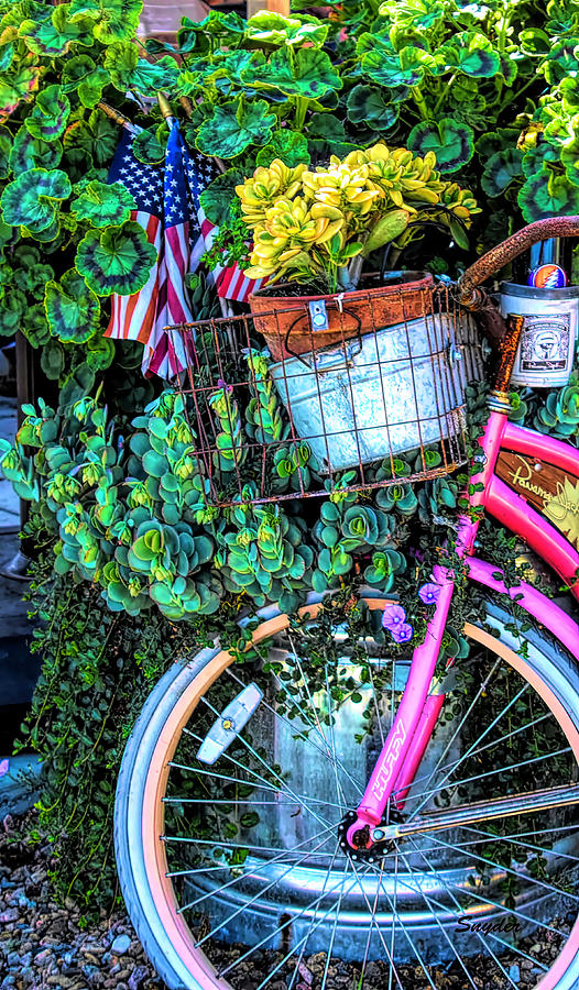 Old Glory on a Pink Bicycle Photograph by Floyd Snyder