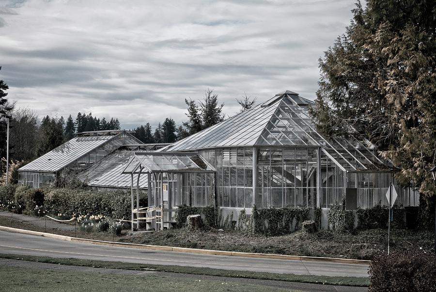 Old Greenhouse Photograph By Frank Winters Fine Art America   Old Greenhouse Frank Winters 