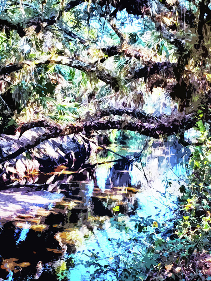 Old Growth Florida Abstract Photograph by Sharon Williams Eng