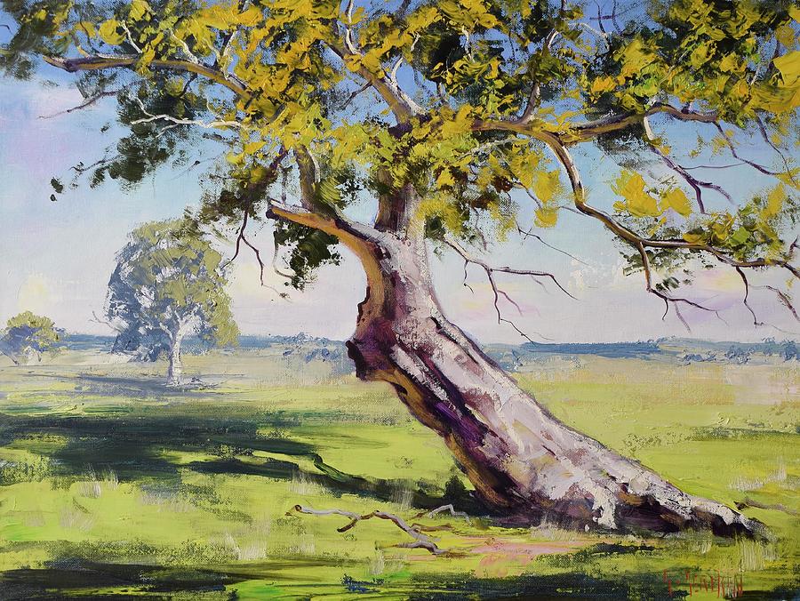 Old Gum Tree Landscape Australia Painting