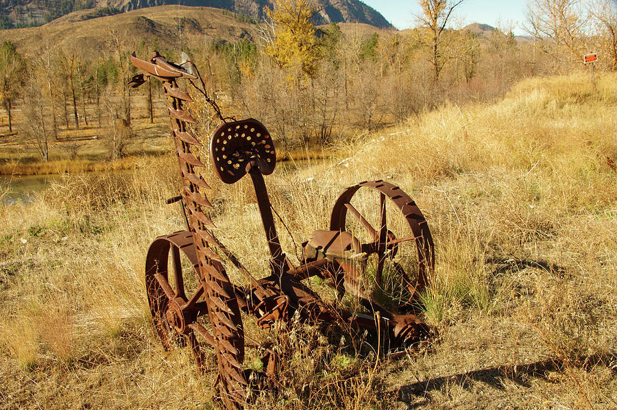 Old Hay Cutter Photograph