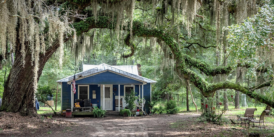 Old home and Live Oak Arch-Daufuskie Photograph by Bradford Martin