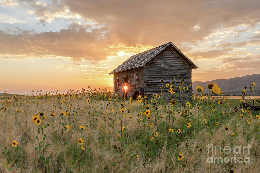 Old Homestead and Sunset Photograph by Bret Barton