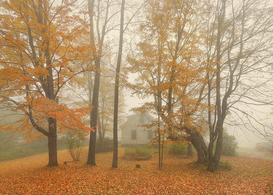 Old Homestead Nestled in the Morning Mist of Autumn Photograph by Nancy Griswold
