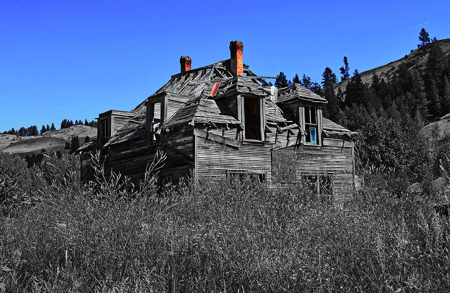 Old Homestead Northcentral Washington  Digital Art by Fred Loring