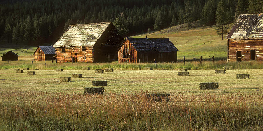 Old Homestead - Potomac Montana Photograph by Photos by Thom