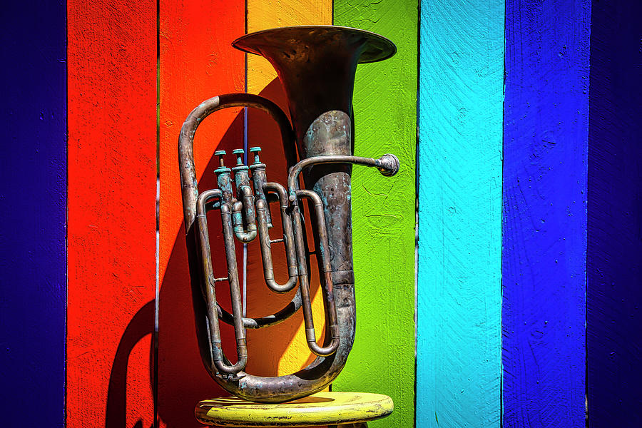 Music Photograph - Old Horn Against Rainbow Fence by Garry Gay