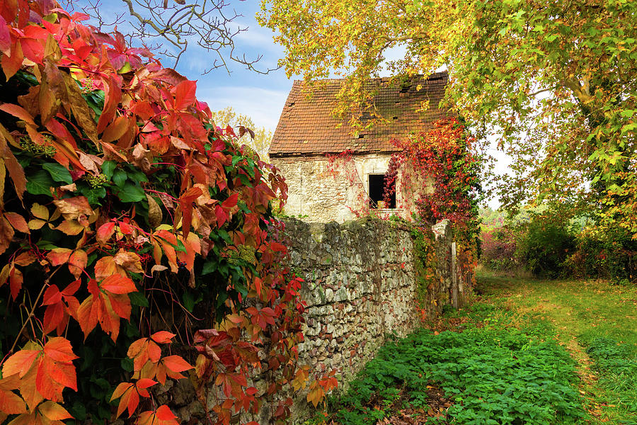 Old house and stone fence in autumn Photograph by Viktor Wallon-Hars