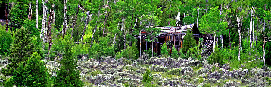 Old House in poudre Canyon co Digital Art by James Steele
