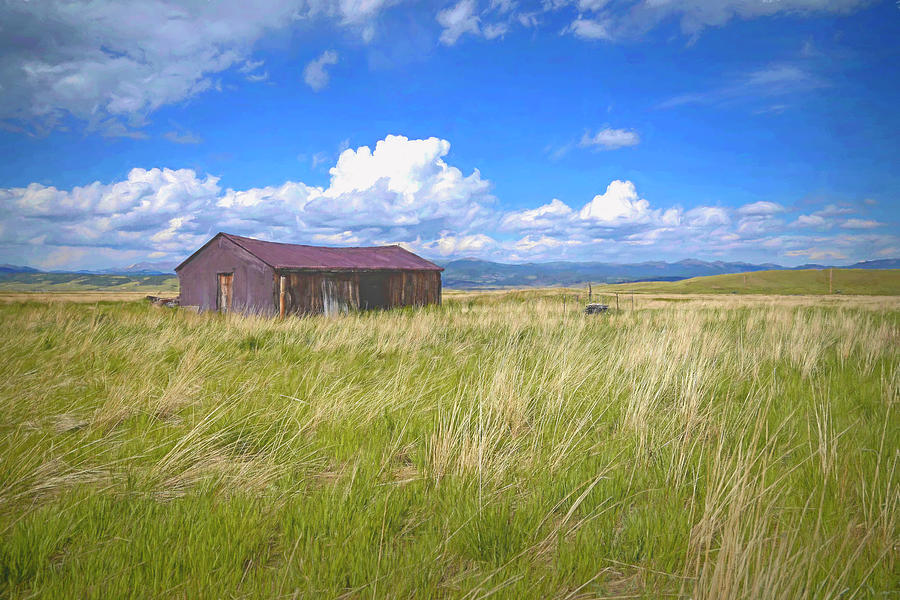 Landscape Photograph - Old House On The plans Of Colorado by James Steele