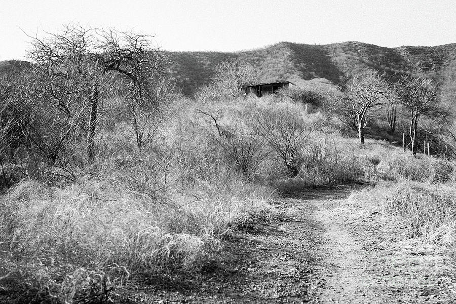 Old Hut in Taganga Photograph by Raphael Bittencourt
