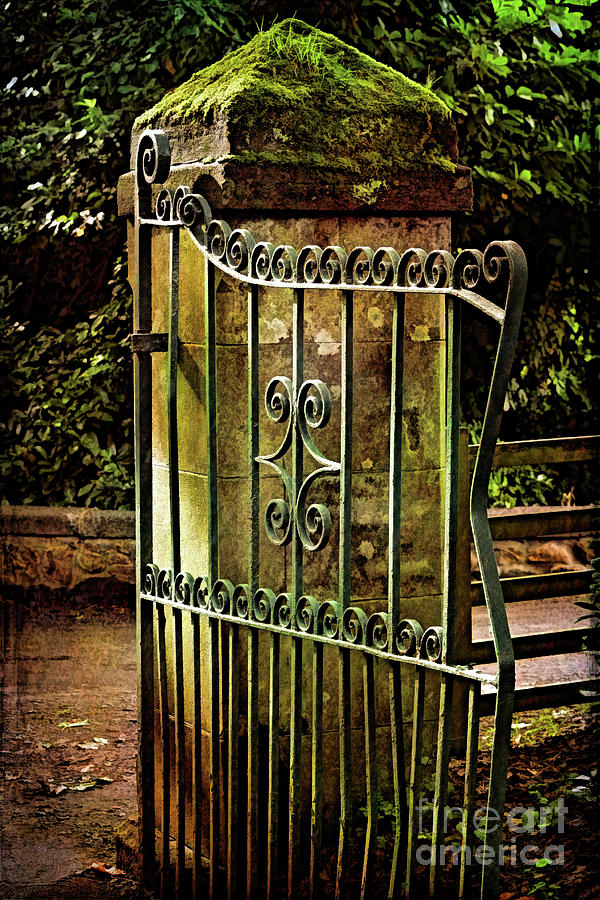 Old Iron Gate and Gate Pier Photograph by Yvonne Johnstone