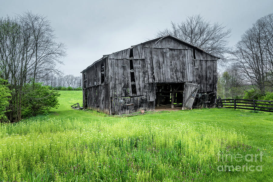 Old Kentucky Black Tobacco Barn - Farm Field Photograph by Gary Whitton