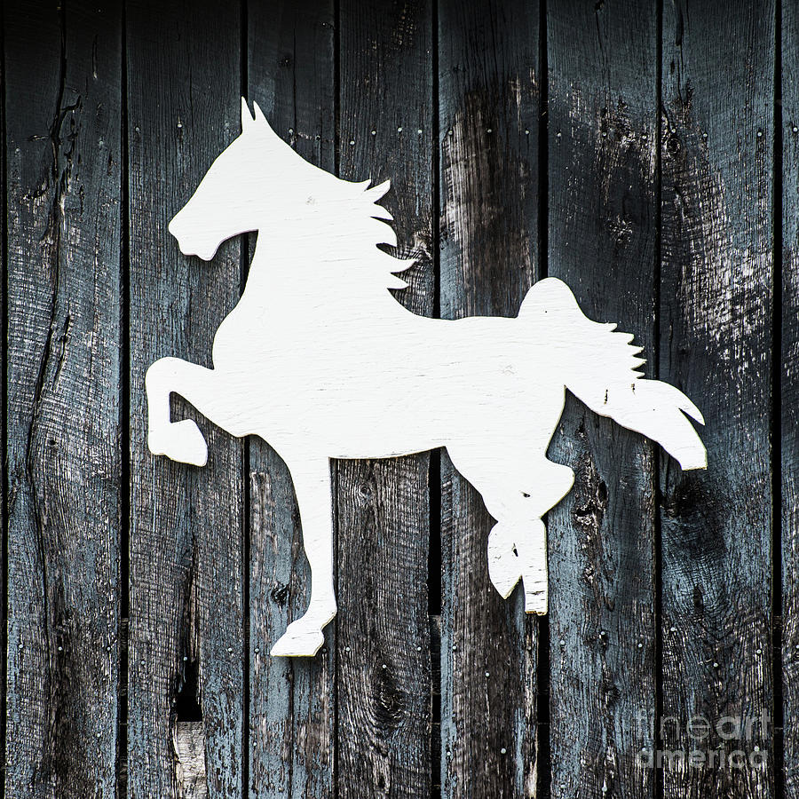 Old Kentucky Horse Barn Decorative Art Photograph by Gary Whitton