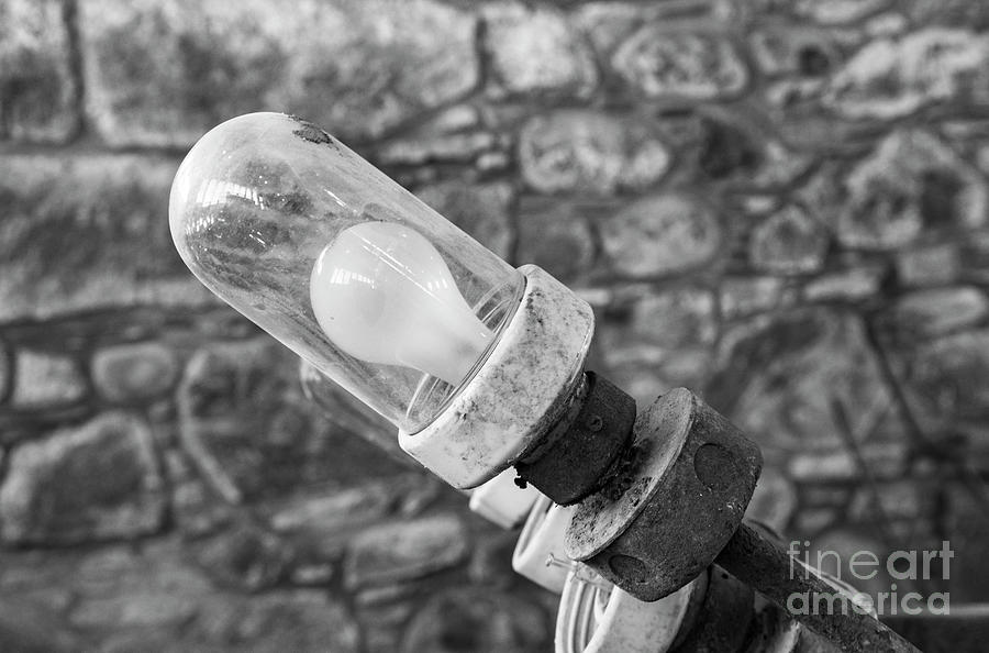 Old Lightbulb Photograph by Grace Grogan