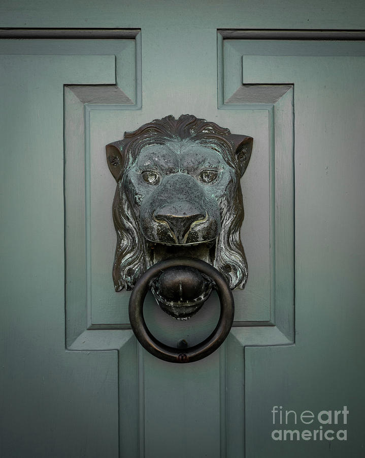 Old Lion Brass Door Knocker Photograph by Edward Fielding
